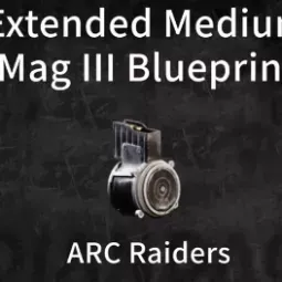 Extended Medium Mag III Blueprint